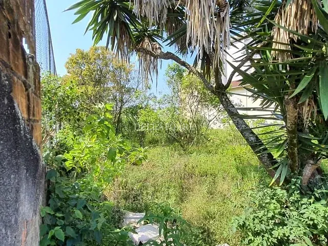 Terreno com 1000m², à venda, no bairro Alto em Teresópolis