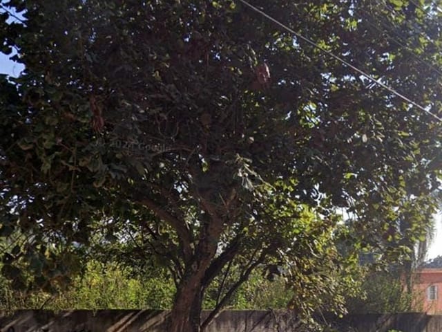 Terreno com 483m², à venda, no bairro Balneário Dom Carlos em São Paulo