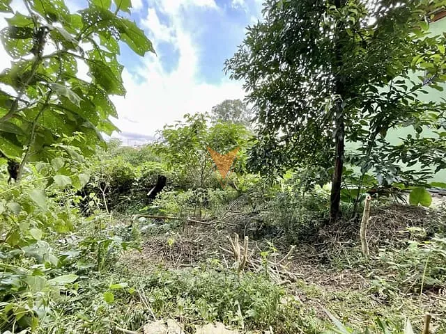 Terreno com 907m², à venda, no bairro Vila Santo Antônio em Cotia