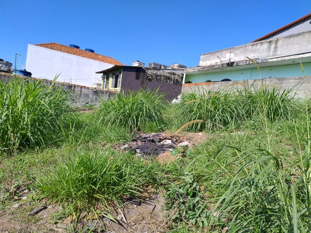 Terreno com 355m², à venda, no bairro Parque Continental em Guarulhos