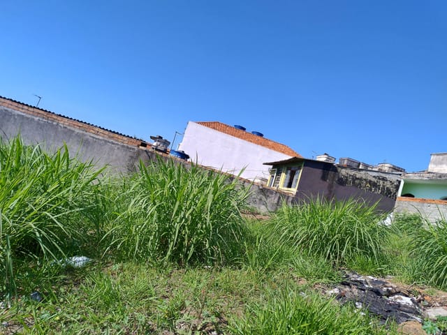 Terreno com 355m², à venda, no bairro Parque Continental em Guarulhos