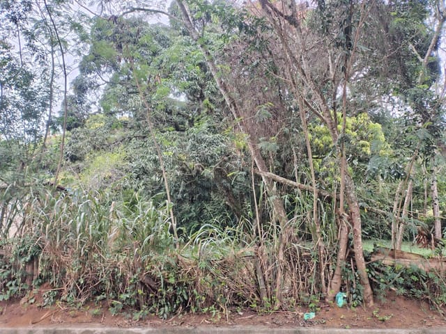 Terreno com 5000m², à venda, no bairro Recanto em Rio das Ostras
