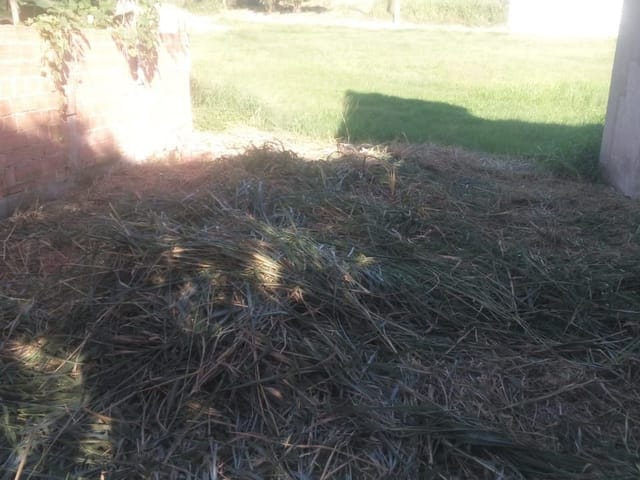 Terreno com 375m², à venda, no bairro Campo Redondo em São Pedro da Aldeia