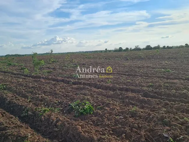 Fazenda com 1360m² 6 quartos e 5 banheiros, à venda, no bairro MATO GROSSO em Porto Alegre do Norte