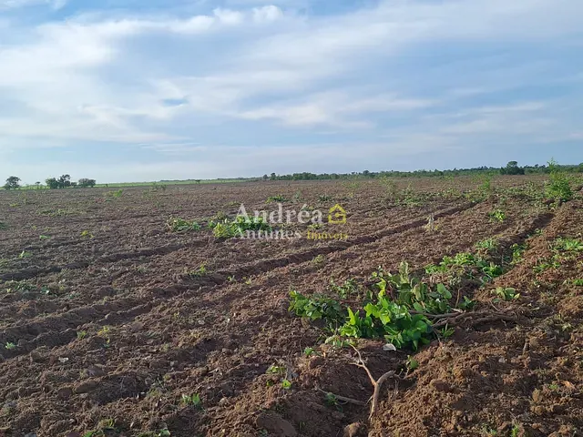 Fazenda com 1360m² 6 quartos e 5 banheiros, à venda, no bairro MATO GROSSO em Porto Alegre do Norte