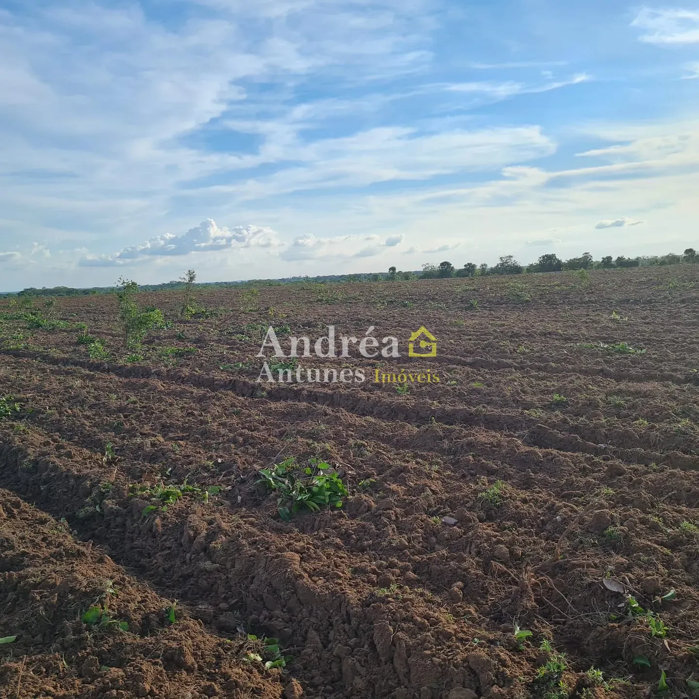 Fazenda, 1360 m² - Foto 3