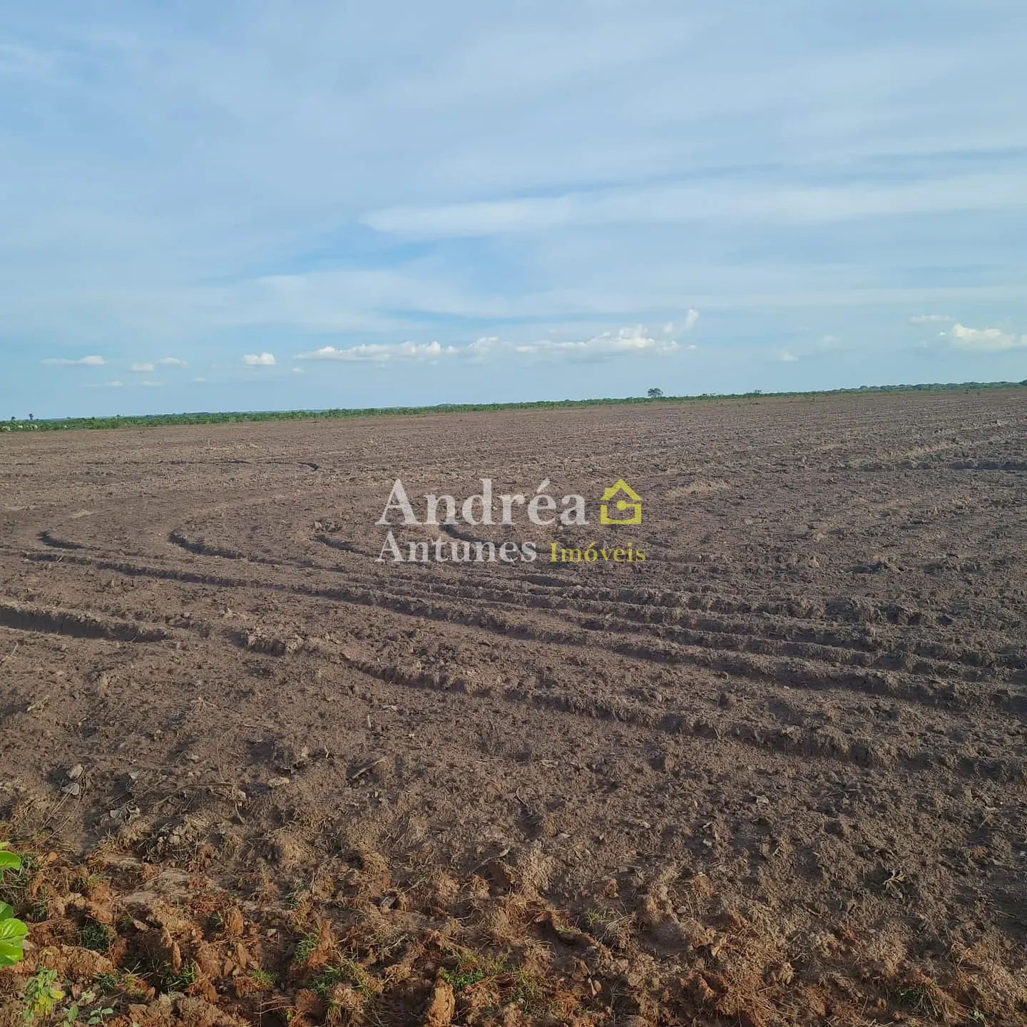 Fazenda, 1360 m² - Foto 4