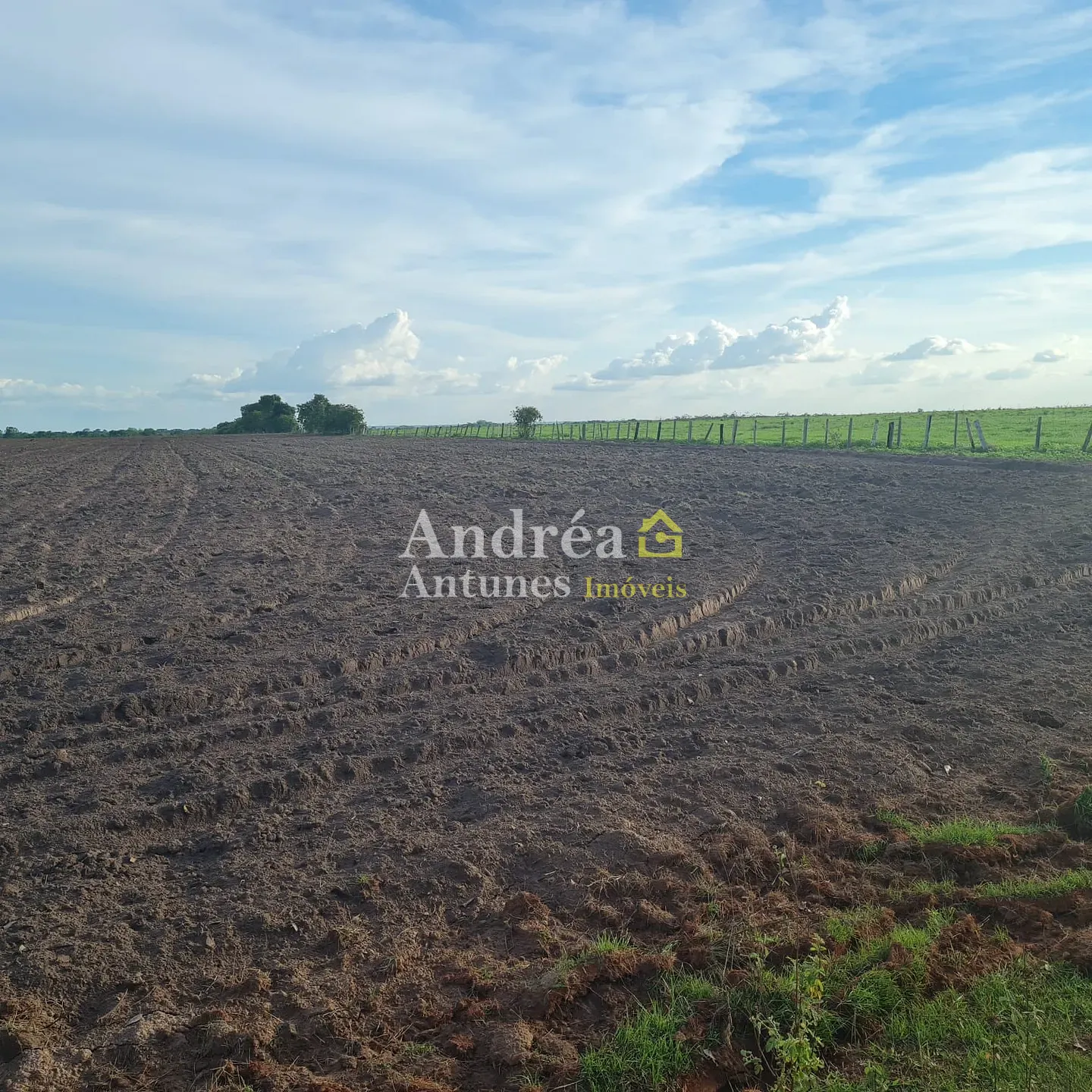 Fazenda, 1360 m² - Foto 1