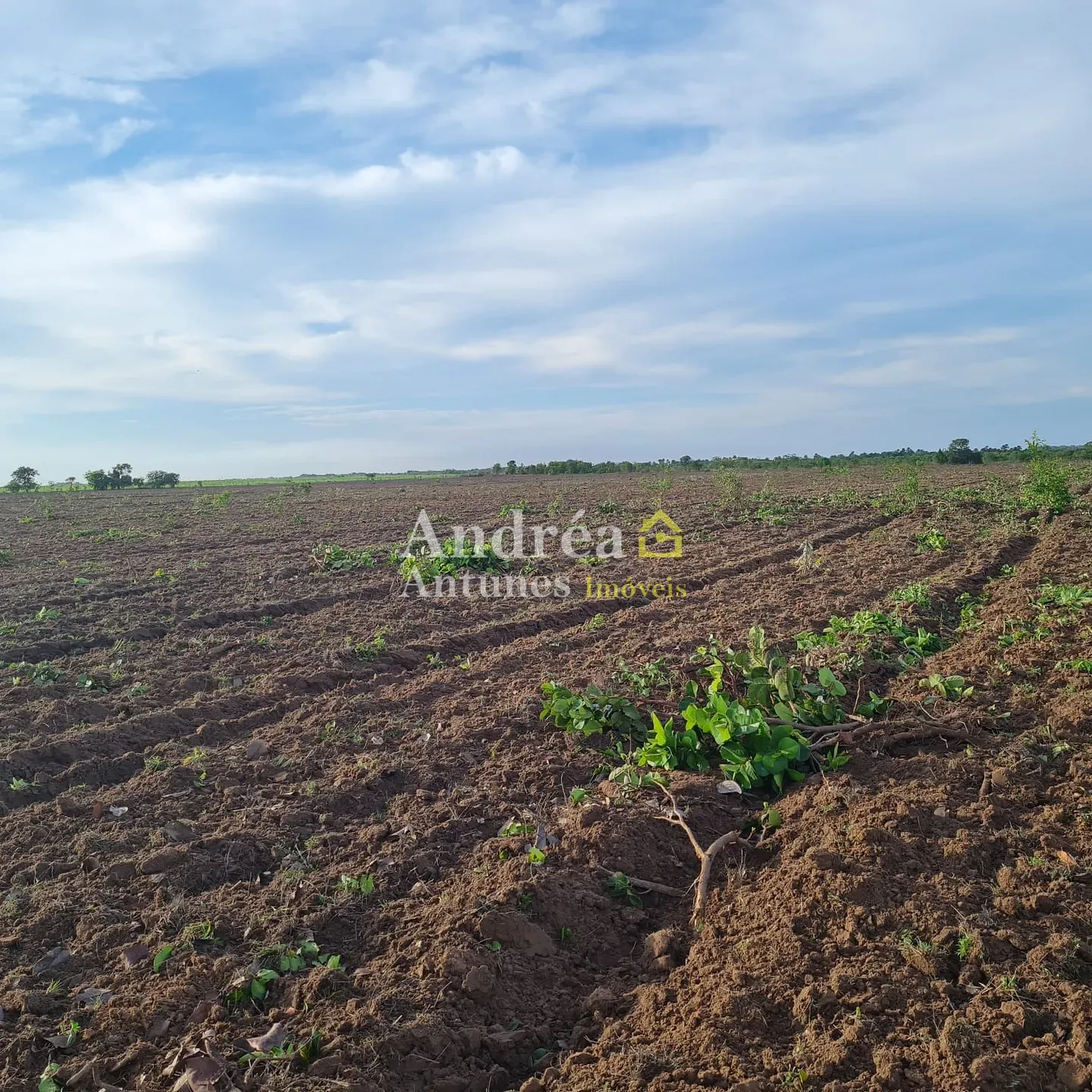 Fazenda, 1360 m² - Foto 2
