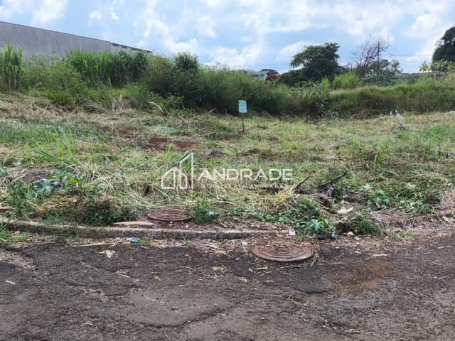 Terreno com 319m², à venda, no bairro Vila Residencial Isabela em Apucarana