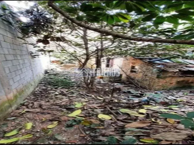 Terreno com 211m², à venda, no bairro Vila Matilde em São Paulo