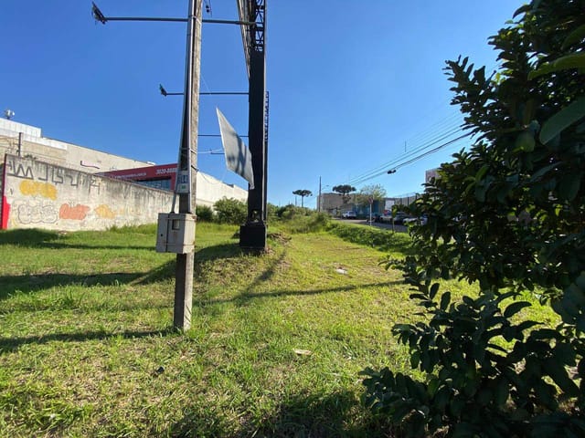 Foto do Terreno - Terreno 933 m ² Portao, a 1 quadra Shopping Palladium Curitiba, PR | 11:11 Imóveis