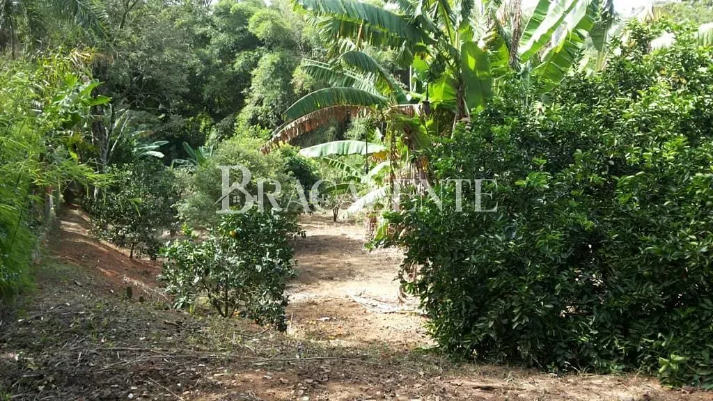 Terreno, 1770 m² - Foto 5