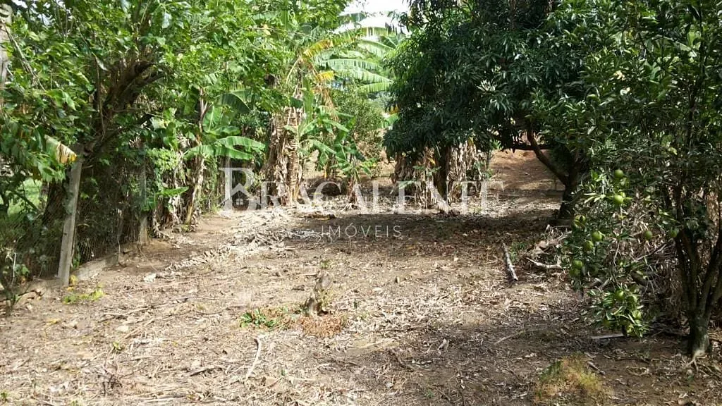 Terreno, 1770 m² - Foto 8
