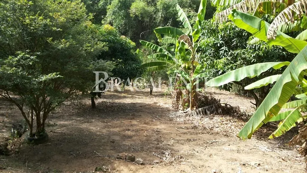 Terreno, 1770 m² - Foto 6
