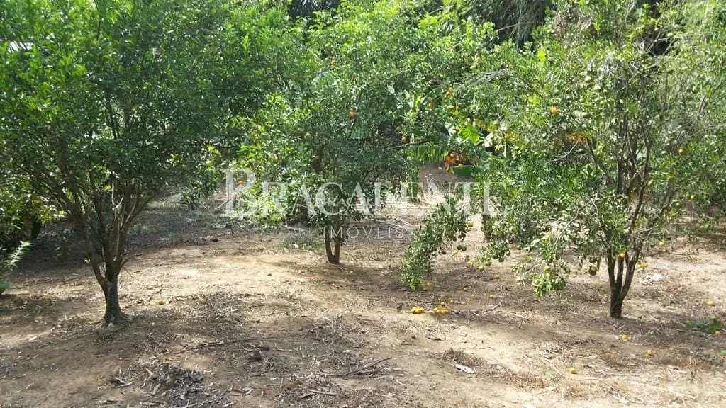 Terreno, 1770 m² - Foto 7