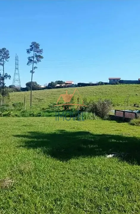 Terreno, 18 hectares - Foto 3