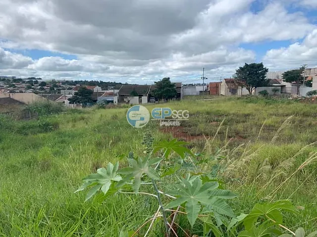 Terreno com 304m², à venda, no bairro Jardim Tropical em Londrina