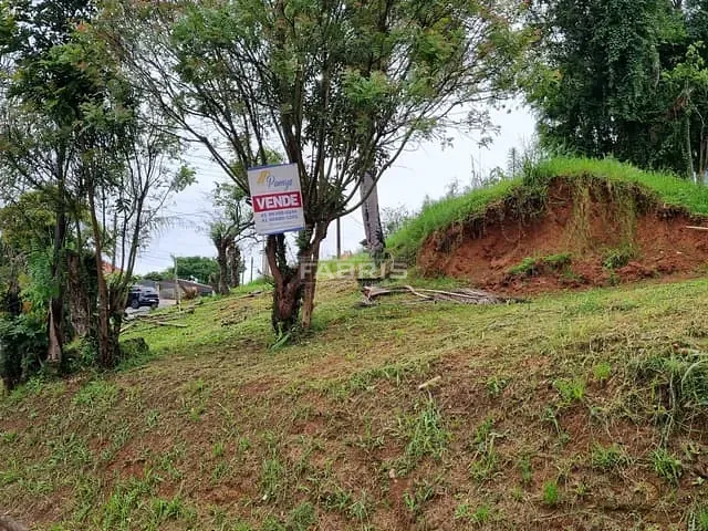 Terreno com 592m², à venda, no bairro Jardim Padre José de Anchieta em Campo Largo