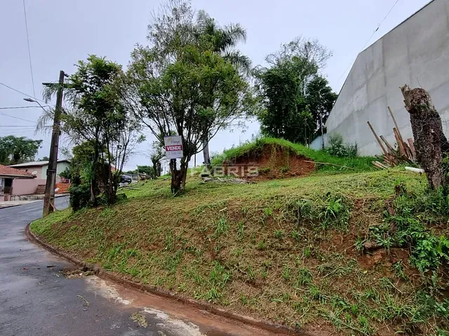 Terreno com 592m², à venda, no bairro Jardim Padre José de Anchieta em Campo Largo
