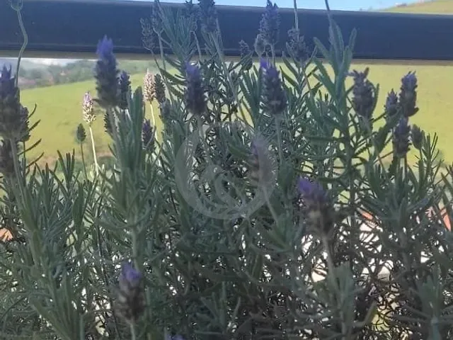 Terreno com 186m², à venda, no bairro Residencial Jardins da Catalunha em Atibaia