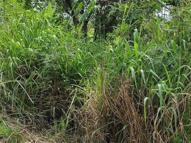 Terreno com 3000m², à venda, no bairro Chácaras de Inoã (Inoã) em Maricá