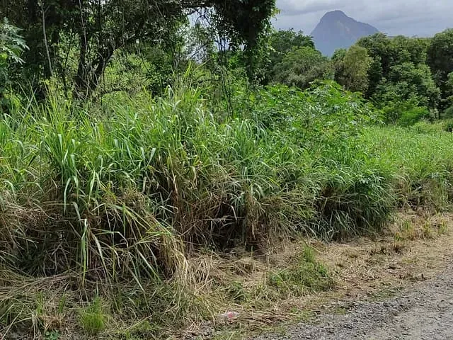 Terreno com 3000m², à venda, no bairro Chácaras de Inoã (Inoã) em Maricá