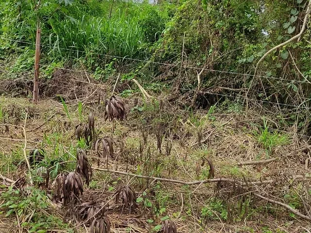 Terreno com 3000m², à venda, no bairro Chácaras de Inoã (Inoã) em Maricá