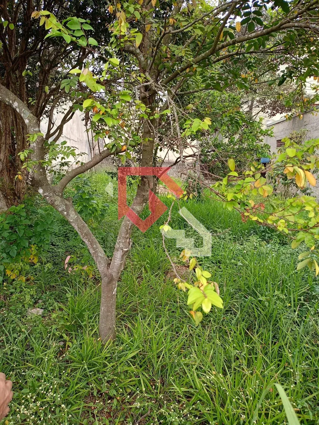 Terreno, 500 m² - Foto 8