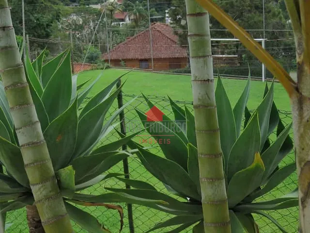 Terreno com 720m², à venda, no bairro Santa Elisa em Nova Friburgo