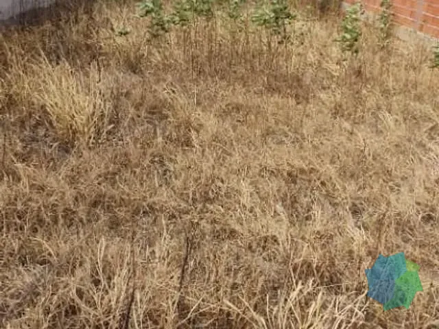 Terreno com 240m², à venda, no bairro Condomínio Piccolo Paese em Salto