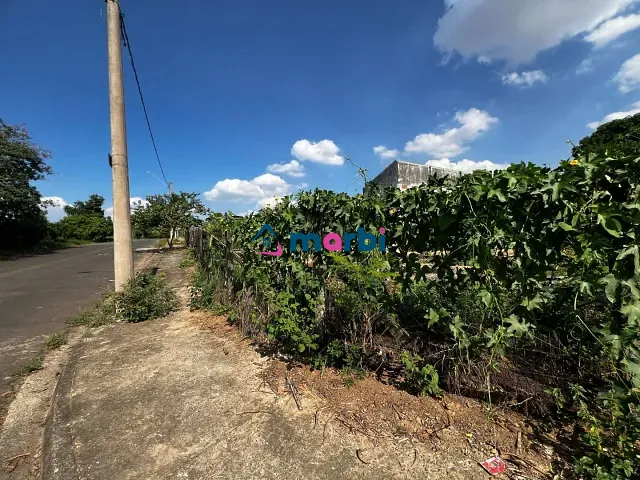 Terreno com 582m², à venda, no bairro Parque Nova Carioba em Americana