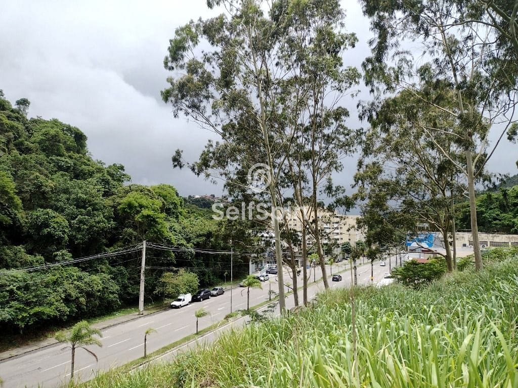 Terreno, 5381 m² - Foto 4