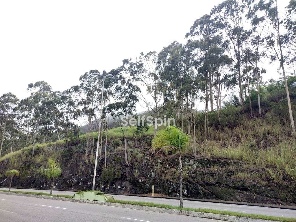 Terreno, 5381 m² - Foto 1