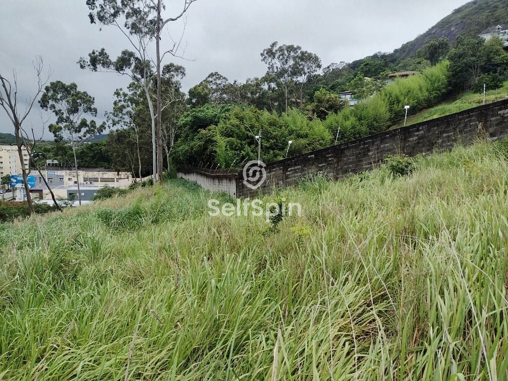 Terreno, 5381 m² - Foto 7