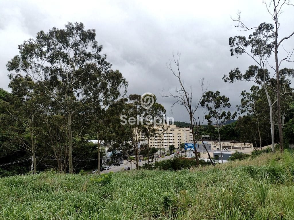 Terreno, 5381 m² - Foto 9