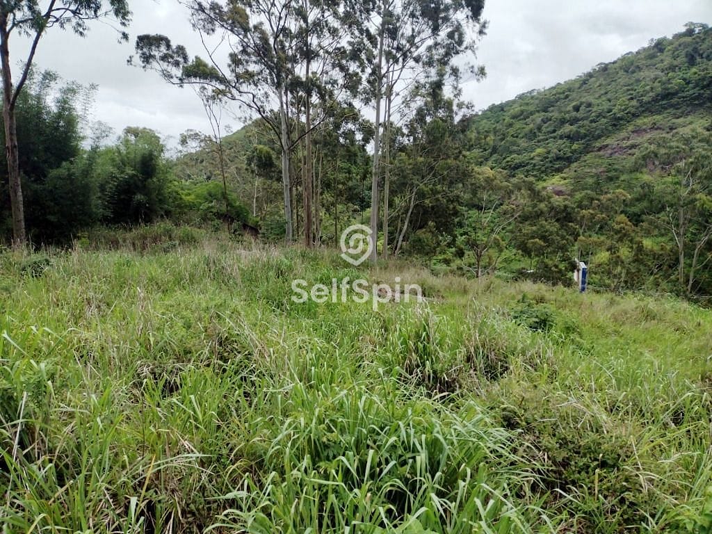 Terreno, 5381 m² - Foto 5