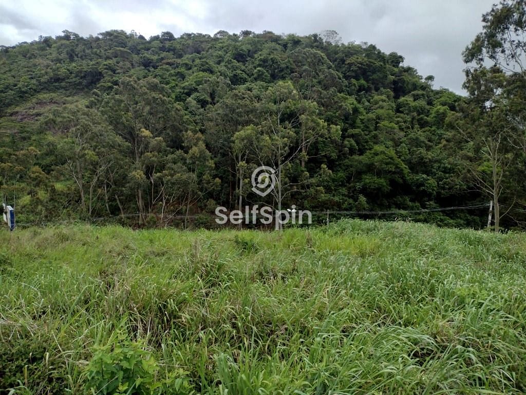 Terreno, 5381 m² - Foto 8