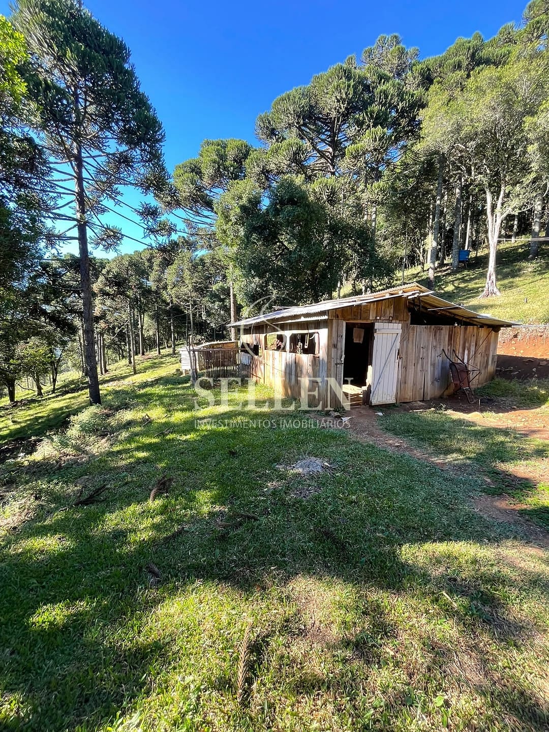 Terreno, 2 hectares - Foto 10