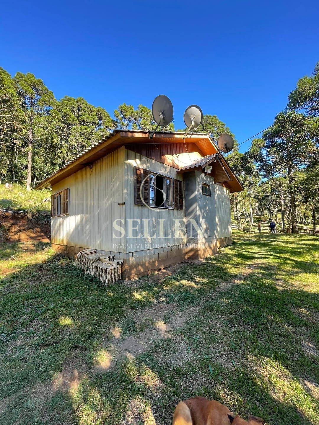 Terreno, 2 hectares - Foto 11