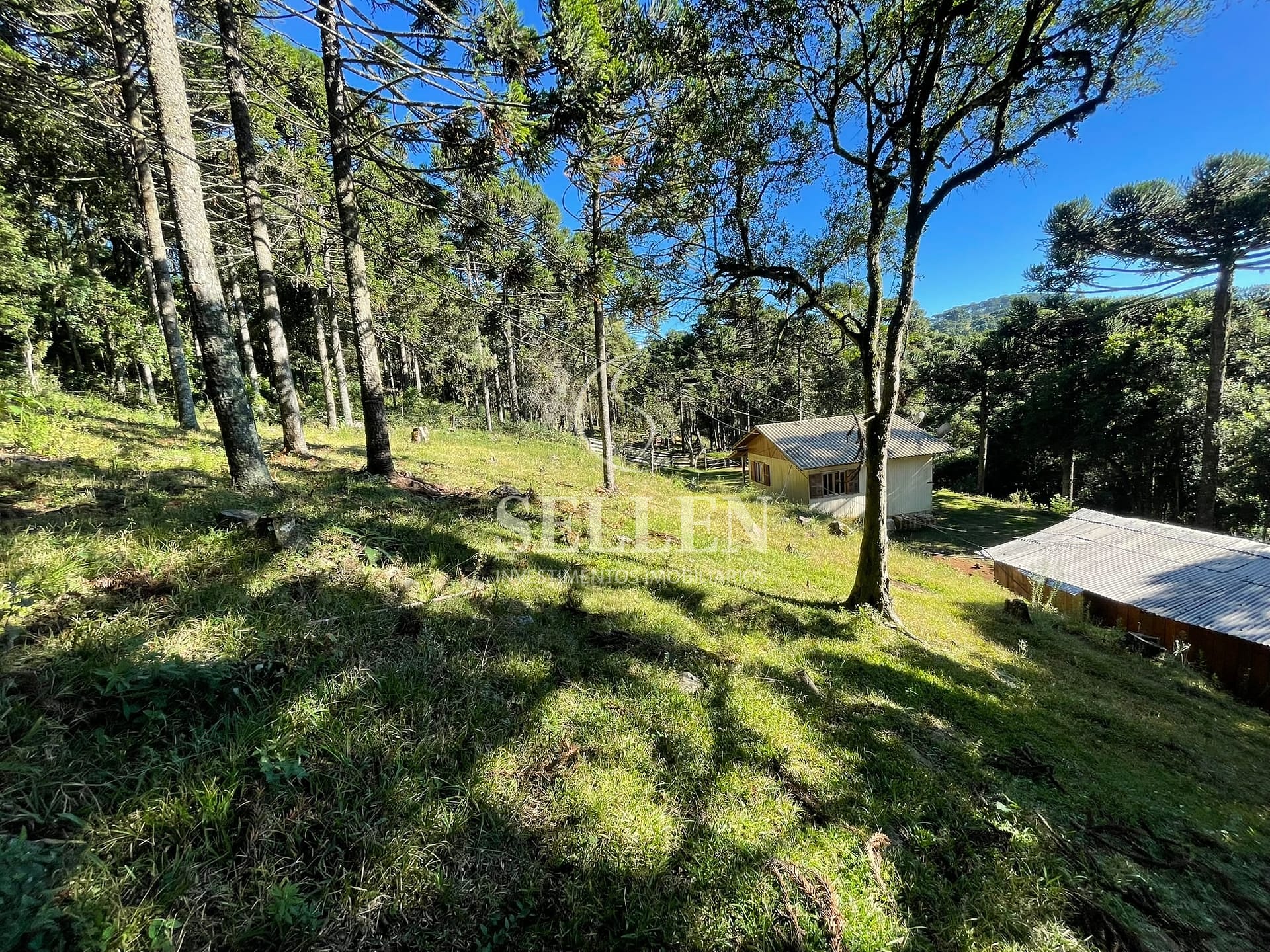 Terreno, 2 hectares - Foto 41