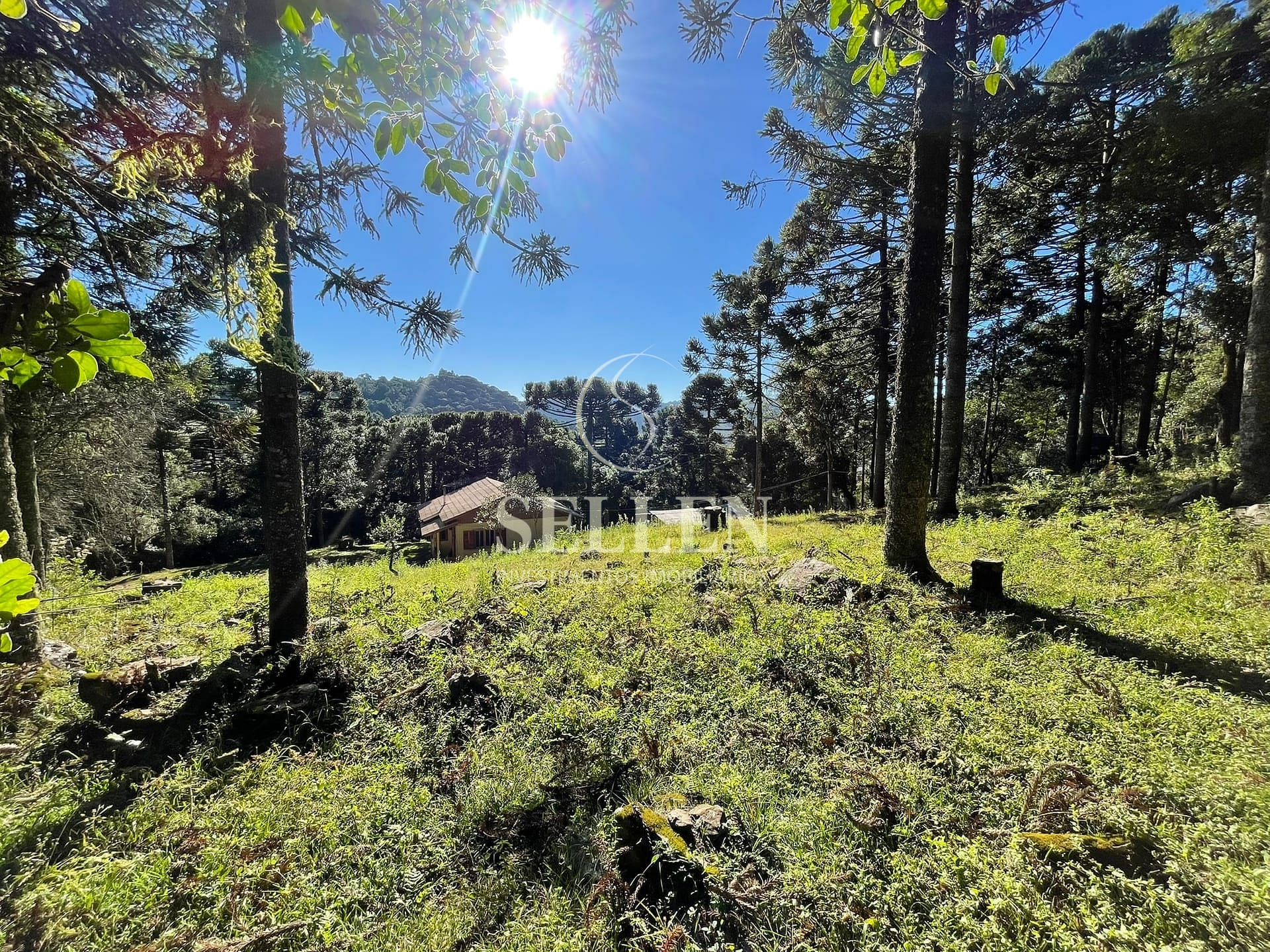 Terreno, 2 hectares - Foto 31