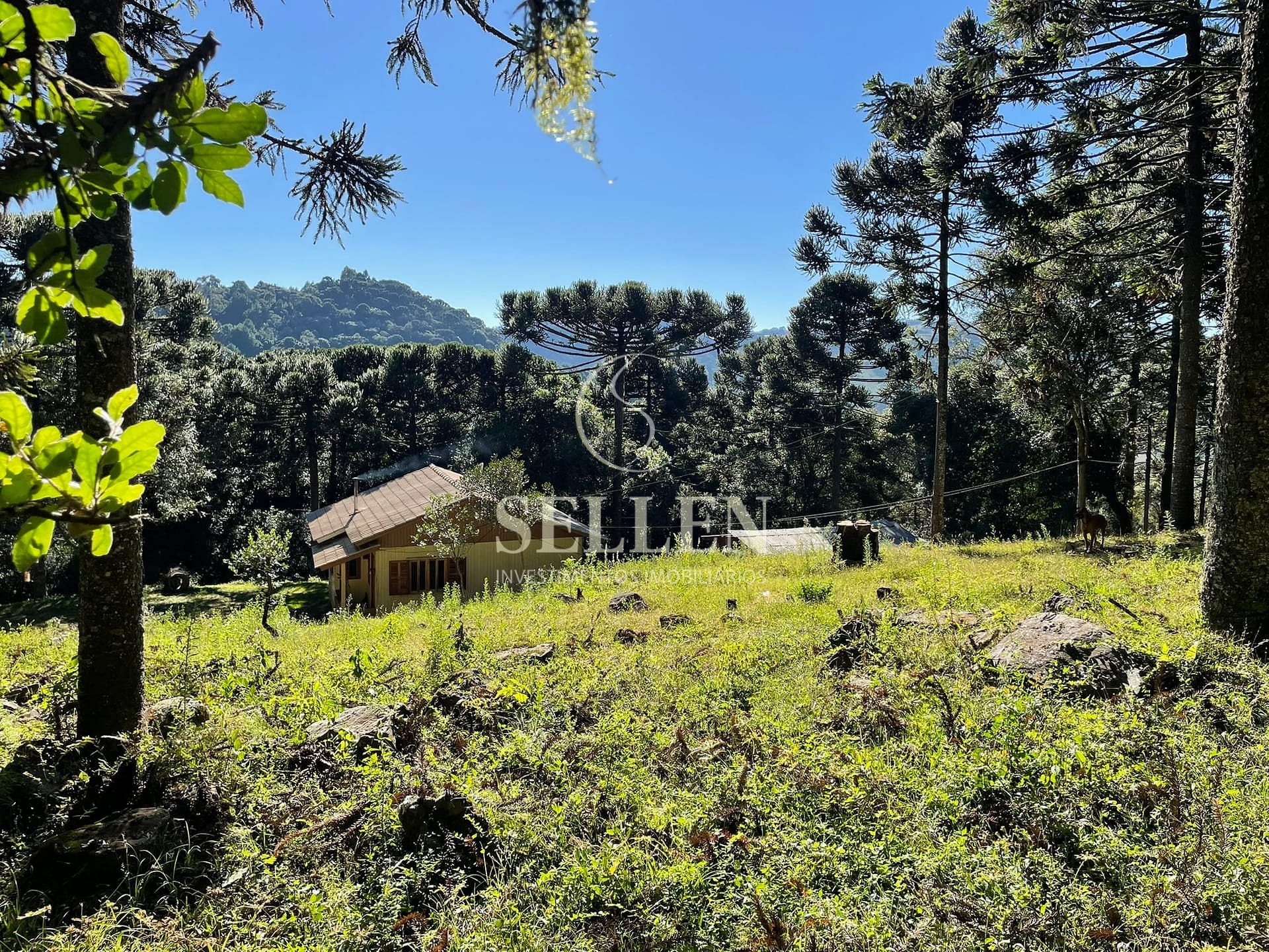 Terreno, 2 hectares - Foto 42