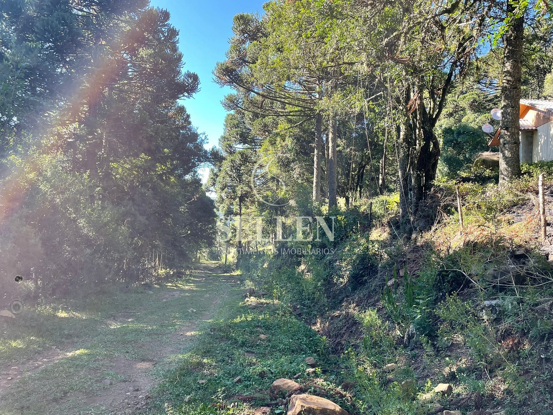 Terreno, 2 hectares - Foto 33