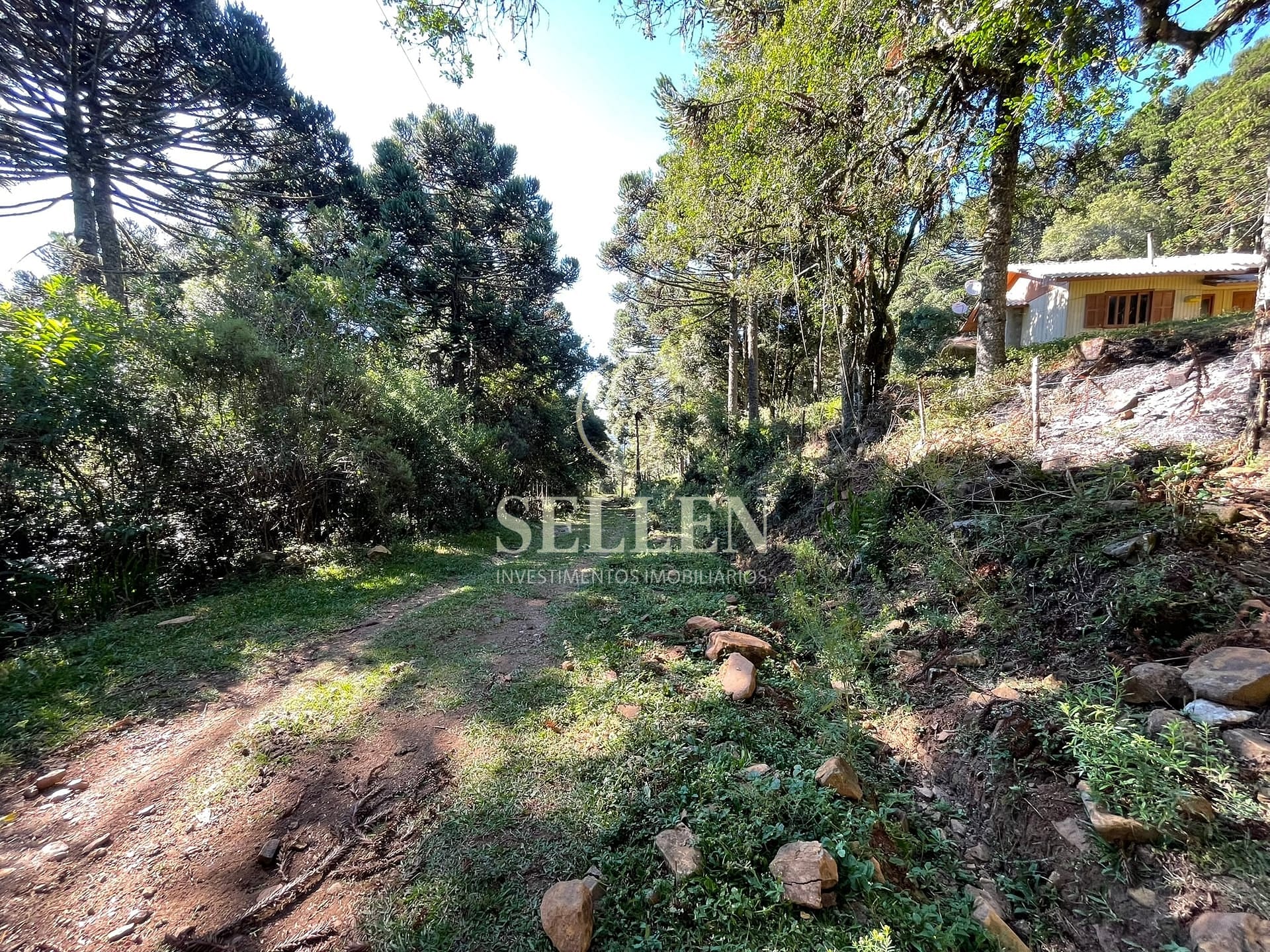 Terreno, 2 hectares - Foto 43