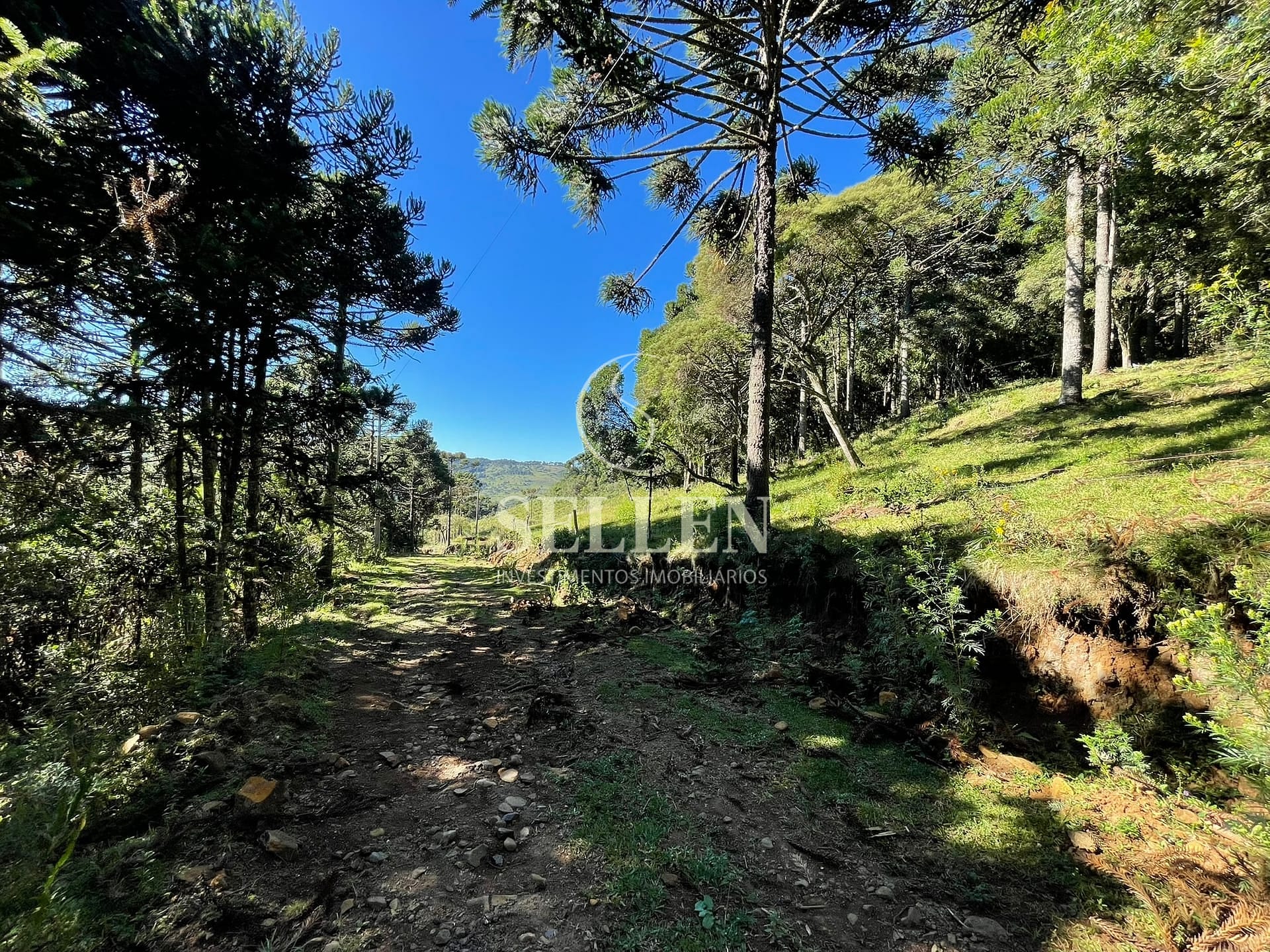 Terreno, 2 hectares - Foto 34