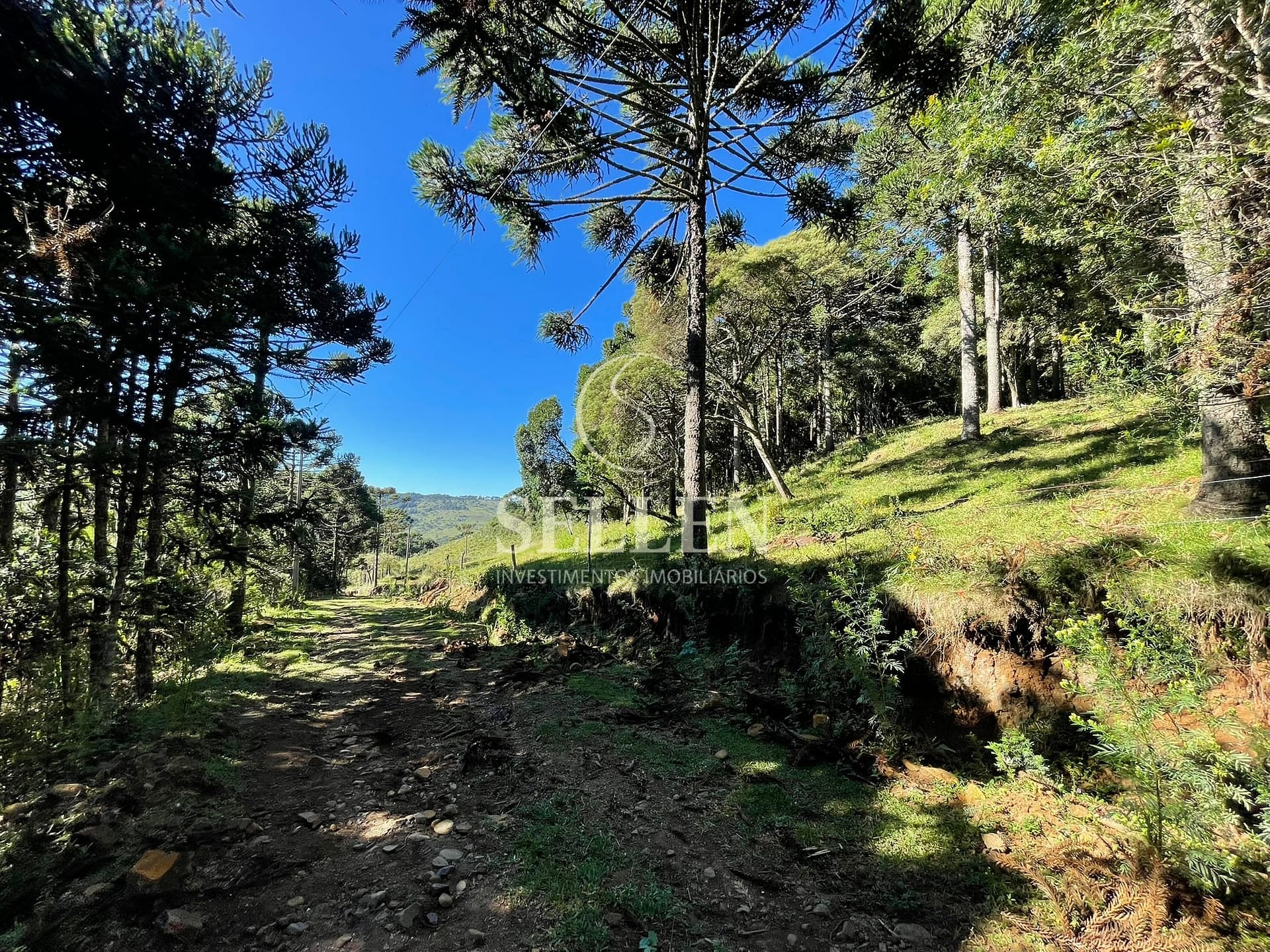 Terreno, 2 hectares - Foto 35