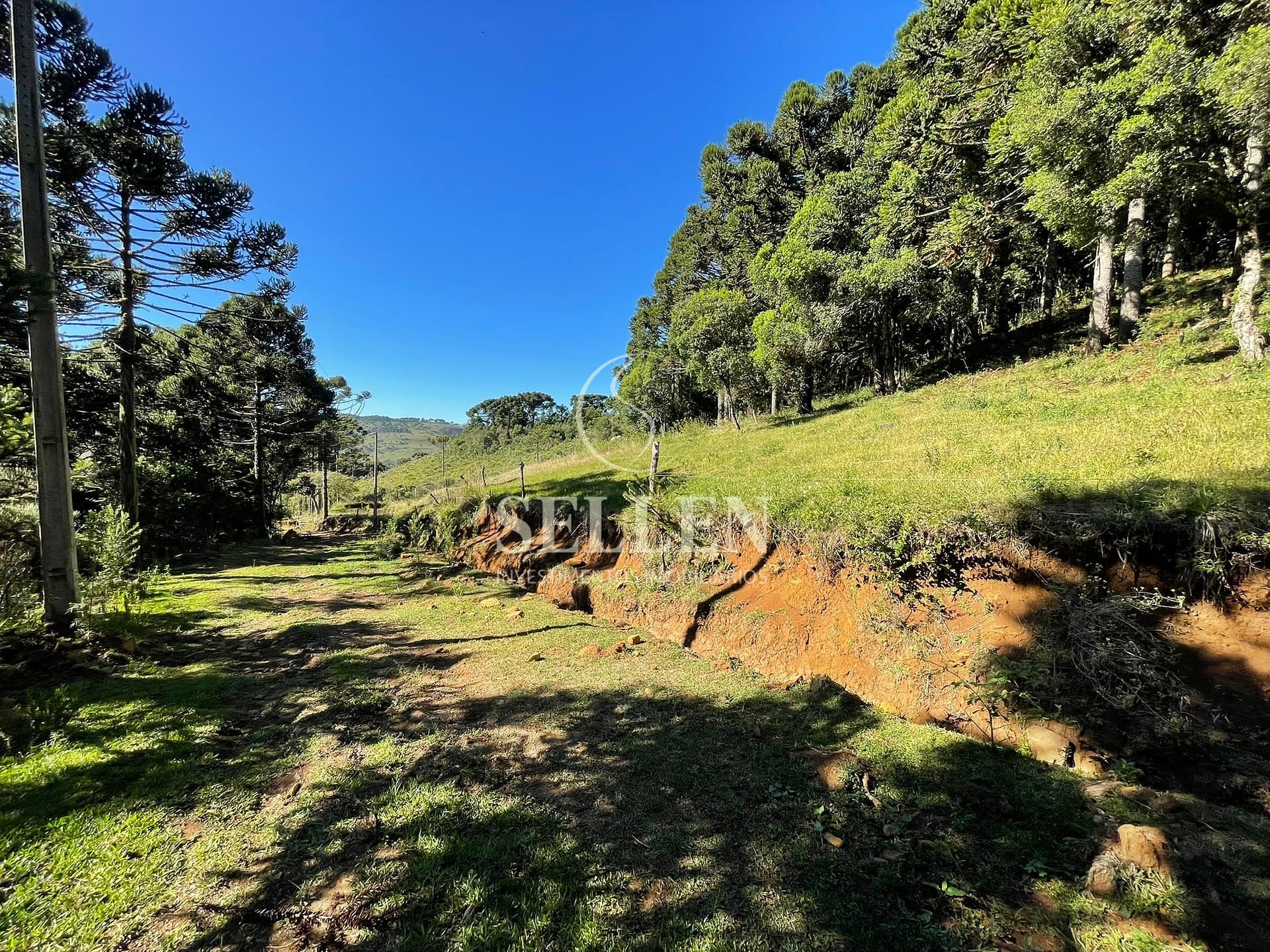 Terreno, 2 hectares - Foto 36