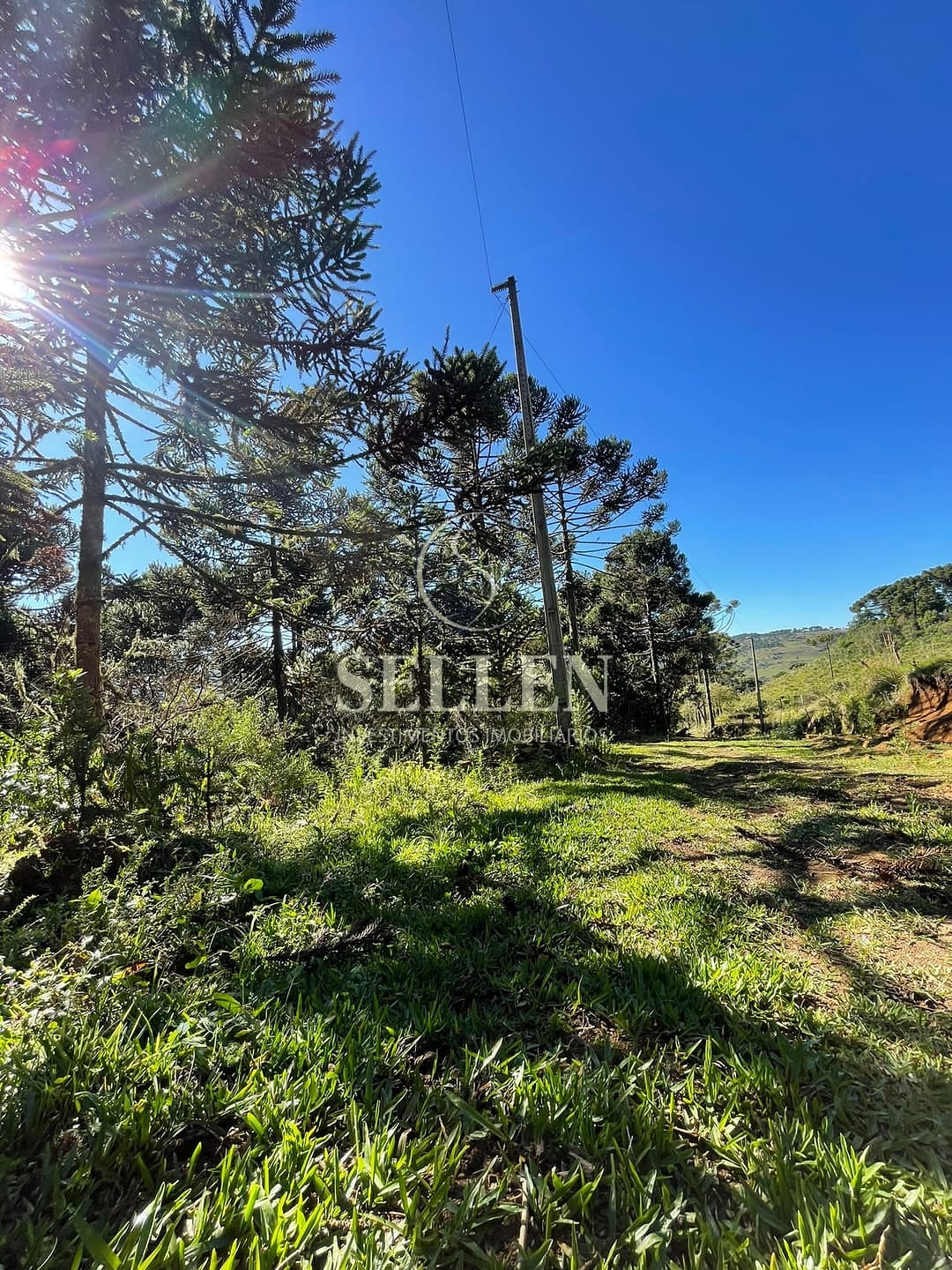 Terreno, 2 hectares - Foto 44