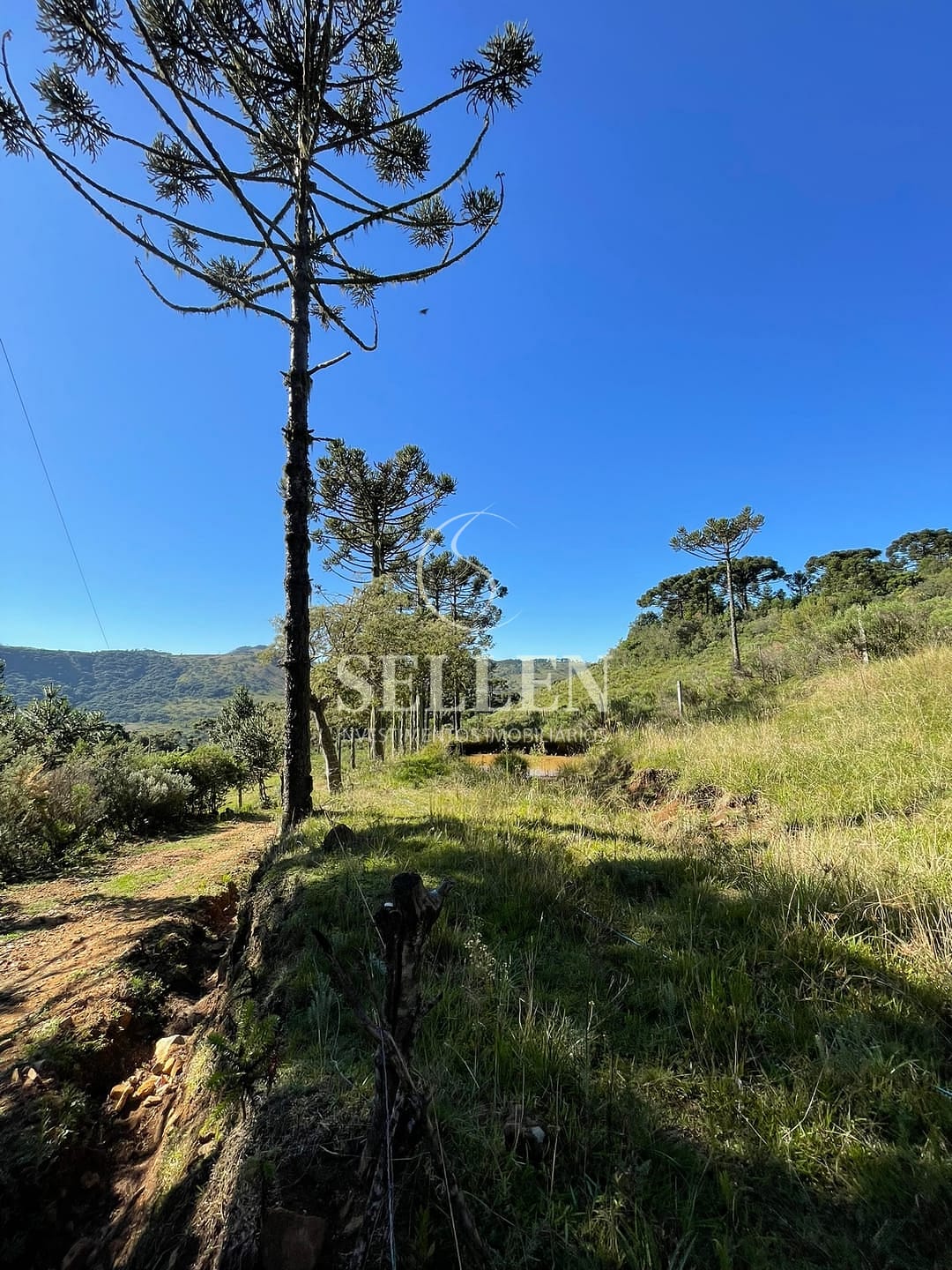 Terreno, 2 hectares - Foto 37